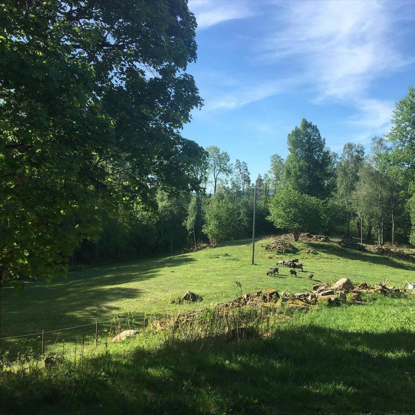 Henneviken Bnb Ed Zewnętrze zdjęcie