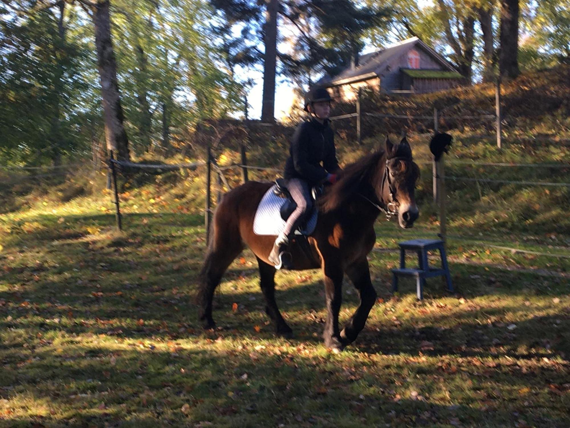 Henneviken Bnb Ed Zewnętrze zdjęcie